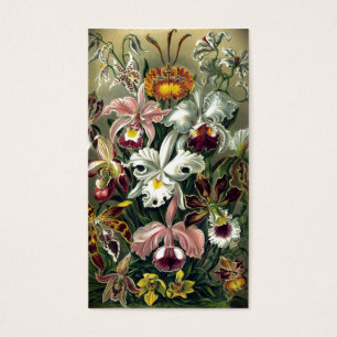 Orchid Botanical Print