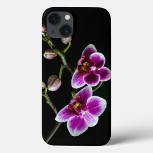 Orchid branch pink white colour on black pale iPhone 13 case