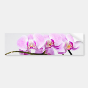 orchid bumper sticker
