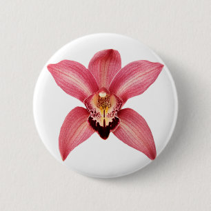 Orchid Button