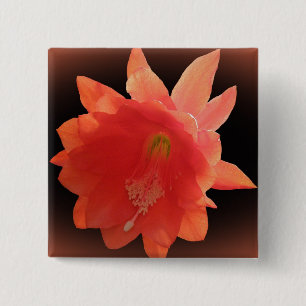 Orchid Cactus - Epiphyllum Ackermannii - Blossom 15 Cm Square Badge
