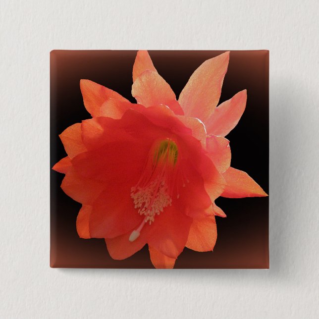 Orchid Cactus - Epiphyllum Ackermannii - Blossom 15 Cm Square Badge (Front)