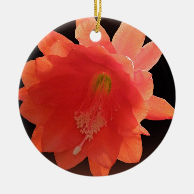 Orchid Cactus - Epiphyllum Ackermannii - Blossom Ceramic Tree Decoration (Front)