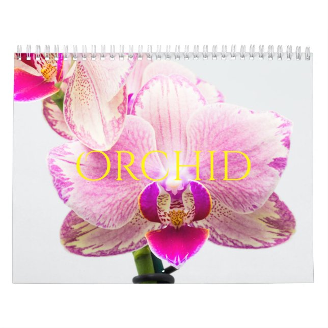 Orchid Calendar (Cover)