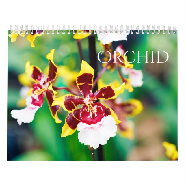 Orchid Calendar (Cover)
