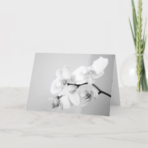 Orchid Card