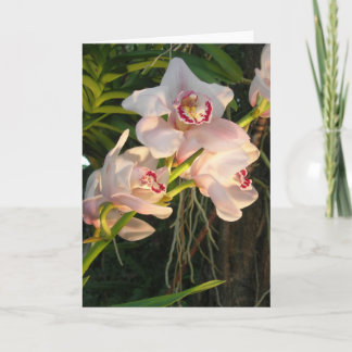 Orchid Card