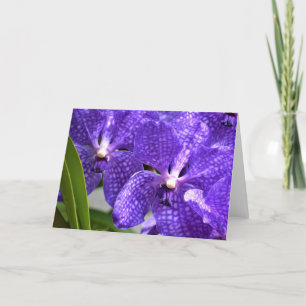 Orchid, card