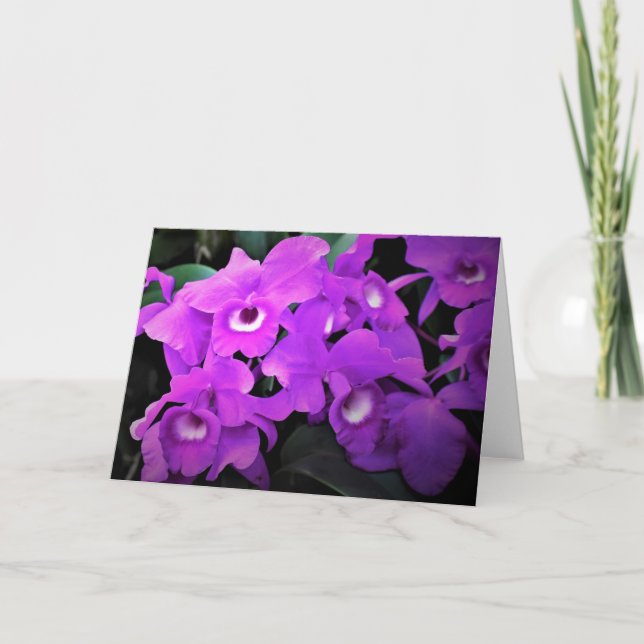 Orchid, card (Front)