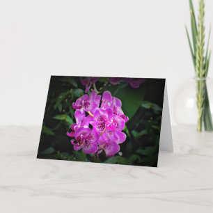 Orchid, card