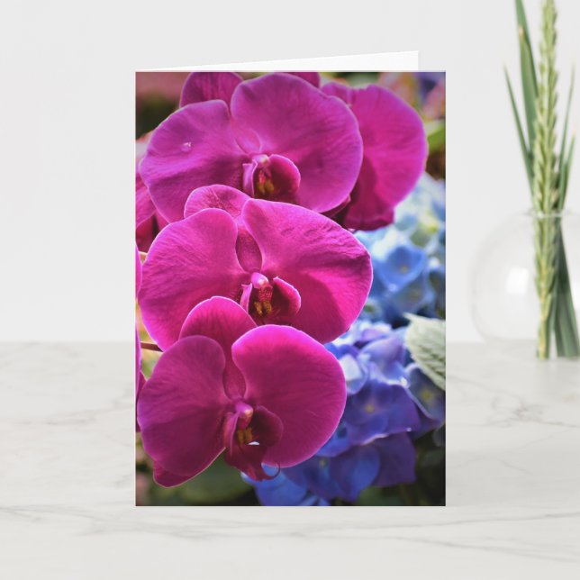 Orchid, card (Front)