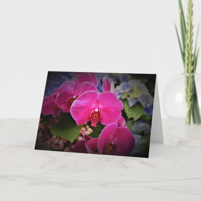 Orchid, card (Front)