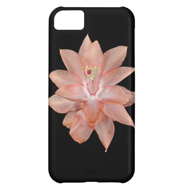 Orchid Cell Phone Case iPhone 5C (Back)