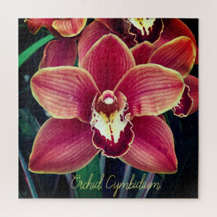 Orchid. Cymbidium Jigsaw Puzzle