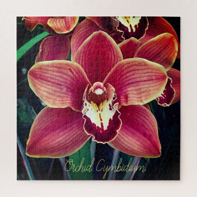 Orchid. Cymbidium Jigsaw Puzzle (Vertical)
