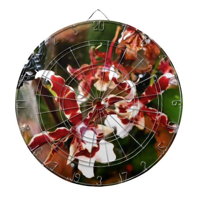 Orchid Dartboard (Front)