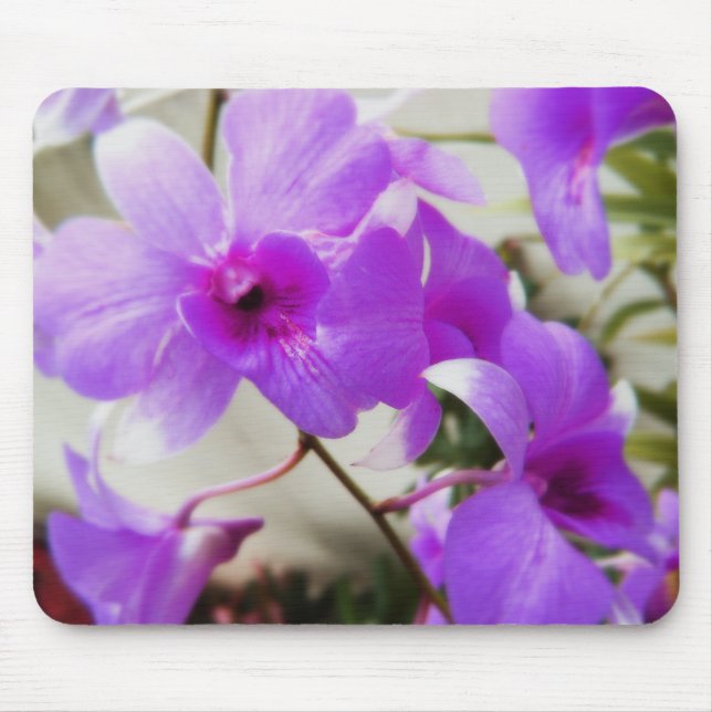 Orchid Dreams Mouse Pad (Front)