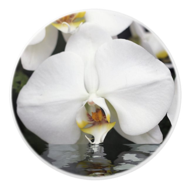 Orchid Emerging from Water Cabinet and Drawer Pull (Front)