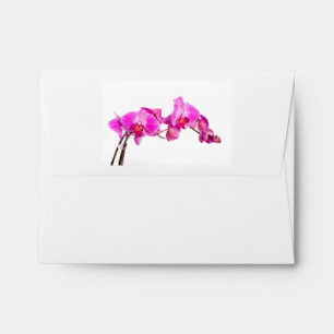 Orchid Envelope