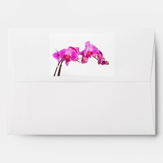 Orchid Envelope (Back (Top Flap))