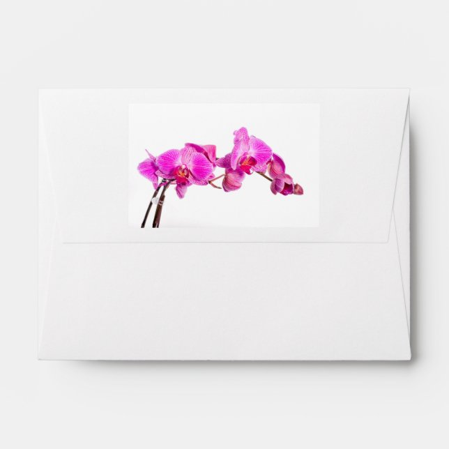 Orchid Envelope (Back (Top Flap))