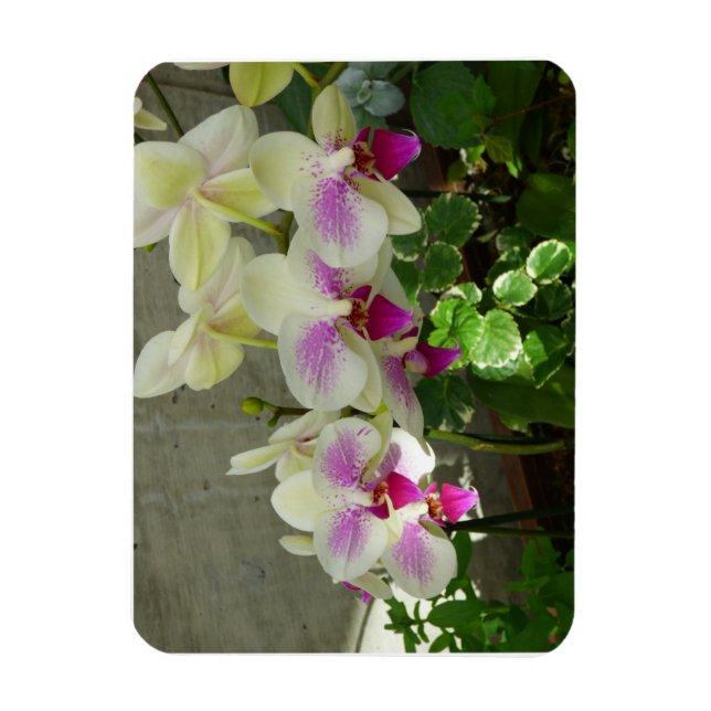 Orchid Flexible Photo Magnet (Vertical)
