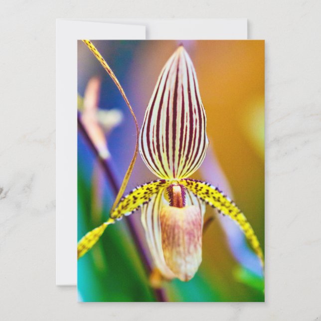 Orchid Flower Card (Front)
