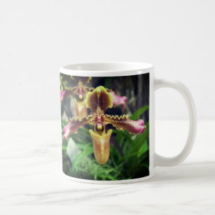 Orchid flower coffee mug