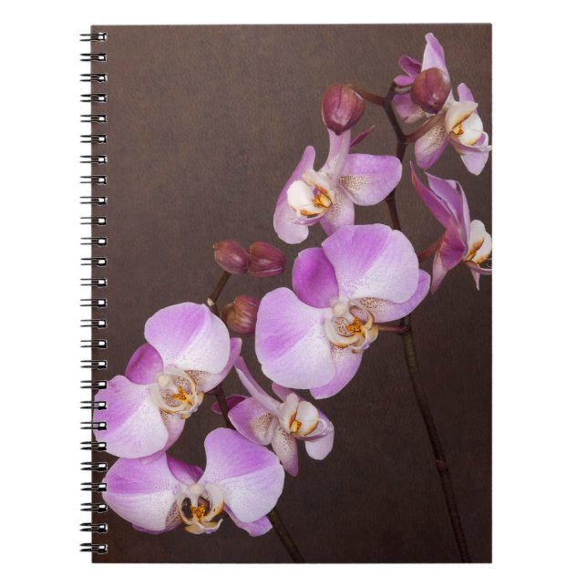 Orchid Flower Diagonal Violet White Close-Up Photo Notebook (Front)