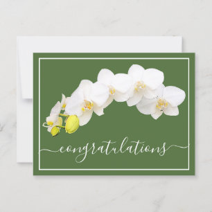 Orchid Flower Green Background Congratulations Postcard