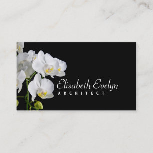 Orchid - Flower hy6767 Business Card