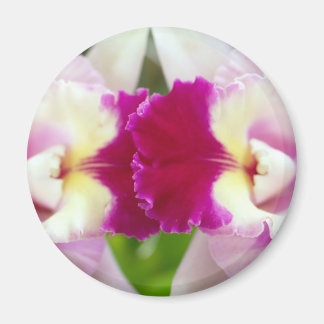 Orchid Flower Magnet