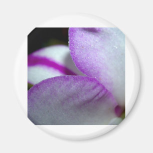 Orchid Flower Magnet