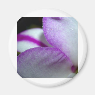 Orchid Flower Magnet
