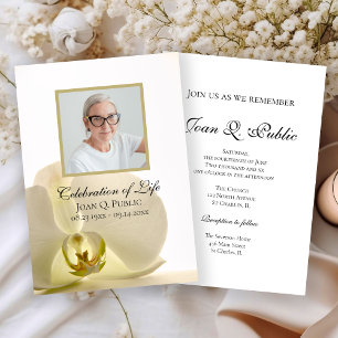 Orchid Flower on White Celebration of Life Invitation