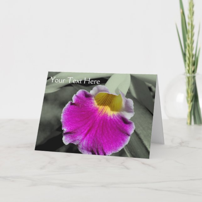 Orchid Flower Partial Colour Photo Card (Front)