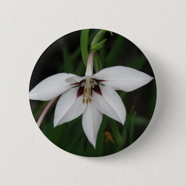 Orchid Flower Round Pin (Front)