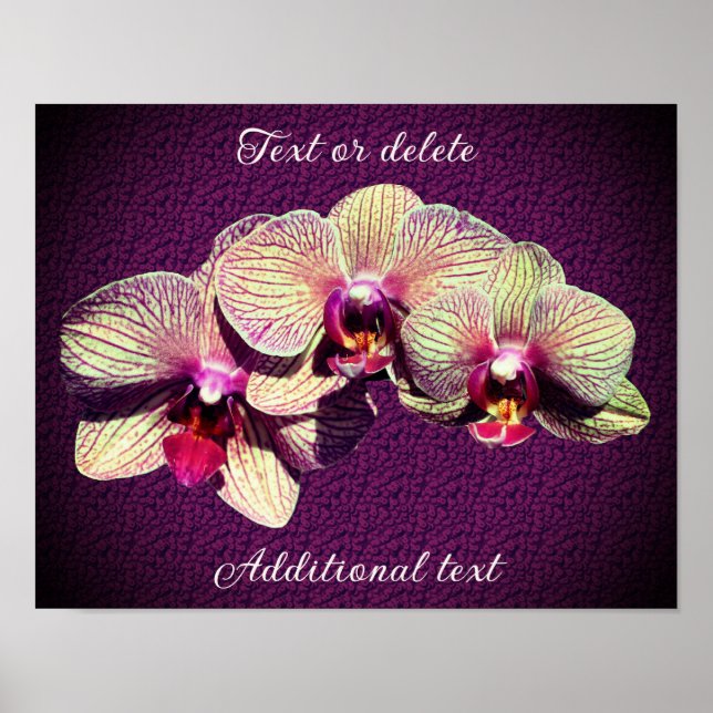 Orchid Flower Trio Add Your Own Text Poster (Front)