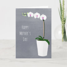 Orchid Flowers Mother's Day Floral Illustration