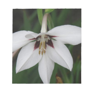 Orchid Flowers Notepad