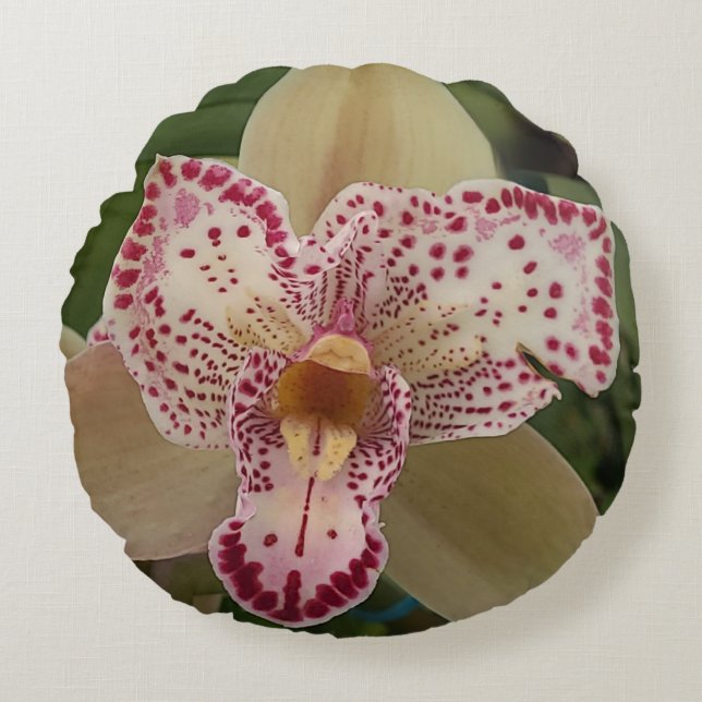 Orchid from Carlsbad, CA original photo pillow (Front)