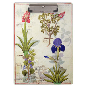 Orchid & Fumitory or Bleeding Heart Hedera & Iris Clipboard