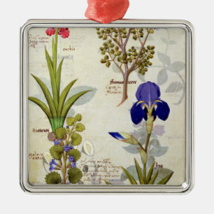 Orchid & Fumitory or Bleeding Heart Hedera & Iris Metal Tree Decoration