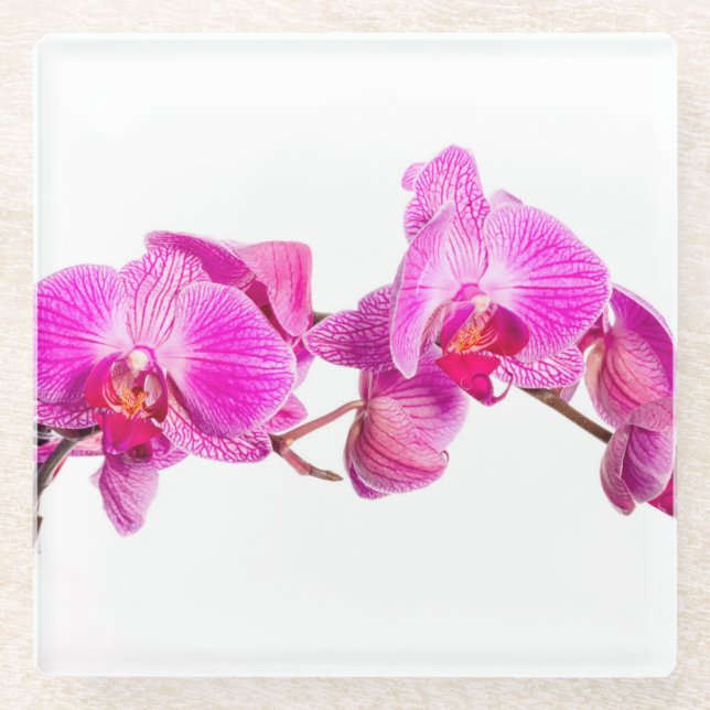 Orchid Glass Coaster (Front)