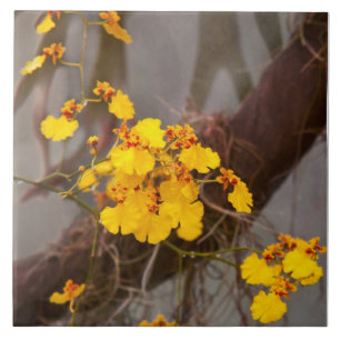 Orchid - Golden morning Ceramic Tile