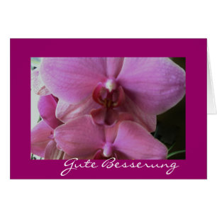 orchid-good improvement
