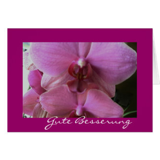 orchid-good improvement