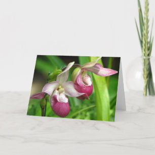 Orchid Greeting Card
