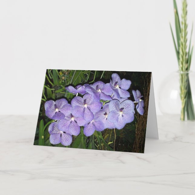 Orchid Greetings Card (Front)