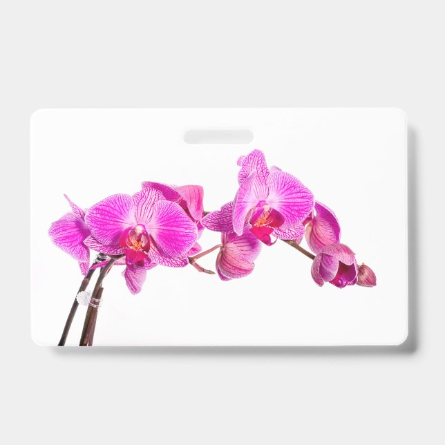 Orchid ID Badge (Front)
